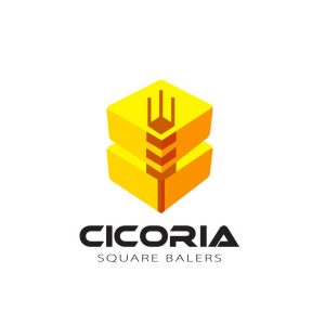 CICORIA-Srl-1x1