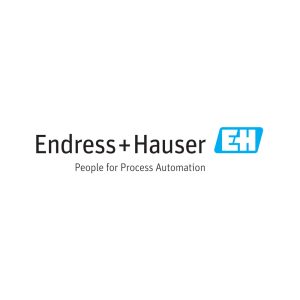 Endress+Hauser-Italia-SpA--1x1