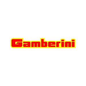 GAMBERINI-Srl-1x1