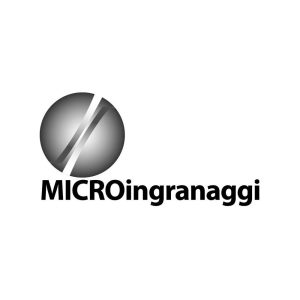 MICRO-INGRANAGGI-STANDARD-SAS-1x1