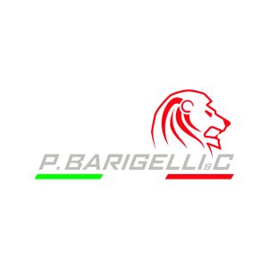 P.BARIGELLI-&-C.Srl-1x1