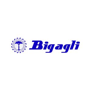 bigagli-1x1