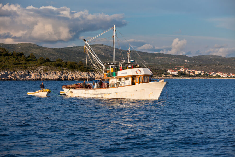 blue economy

