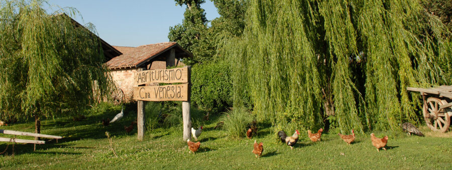 cascina venesia
